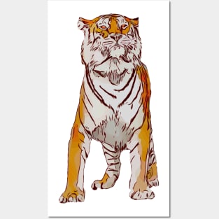 Siberian  Tiger Posters and Art
